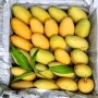 কাটমিন